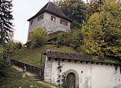Schloss_Buchegg-03.jpg