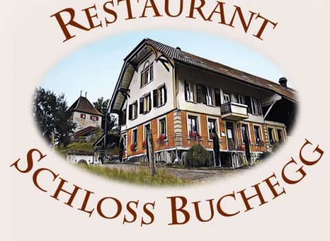 Bild Logo Schloss Buchegg