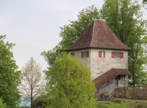 Schloss Buchegg 4