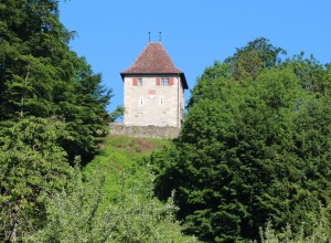 Schloss Buchegg 6