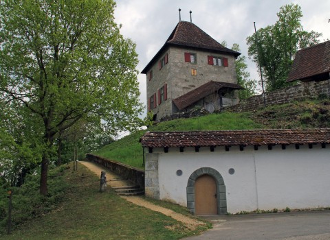 Schloss Buchegg 7
