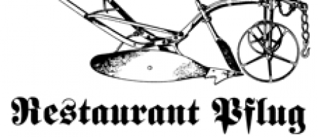 logo.pflug unterramsern